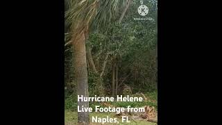 Footage of Helenes Powerful winds in Southern Flordia [upl. by Tenneb564]