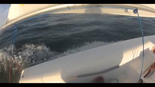 Sailboat Surfing in my Laser Zuma [upl. by Sitruc]