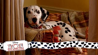 Anitas Little Surprise  715 Movie Scenes  101 Dalmatians 1996 HD [upl. by Anahsak110]