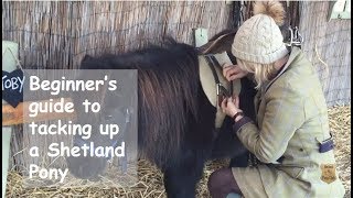 Beginners guide to tacking up a Shetland Pony  TV Episode 196 [upl. by Rosenbaum460]