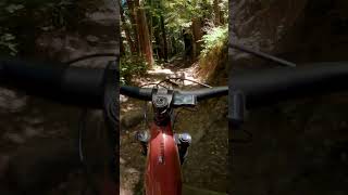 EBike Showdown Santa Cruz Heckler vs Bullit Trail Test [upl. by Charlena611]