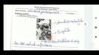 tout les examens avec correction histologie s1 svtu [upl. by Fredric]