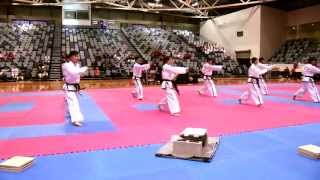 North Korea DPRK Taekwondo ITF Demo Melbourne Australia [upl. by Yanffit]