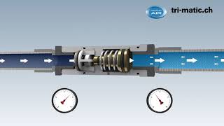 Funktion Druckminderer für Druckluft Werkzeuge und Automation ToolReg® [upl. by Franza]