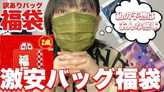 【福袋】初購入の激安バッグ福袋（チャレンジする価値あり！）楽天市場 [upl. by Noskcire]