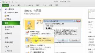 Excel  ファイルのパスワードを解除する手順 [upl. by Atnomed]