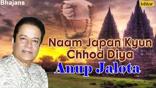 Naam Japan Kyun Chhod Diya  Anup Jalota  Best Hindi Bhajans  JUKEBOX  Popular Bhajans [upl. by Scholz]