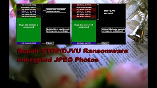 STOPDJVU Ransomware  Repair corrupt  encrypted JPEG [upl. by Collayer]