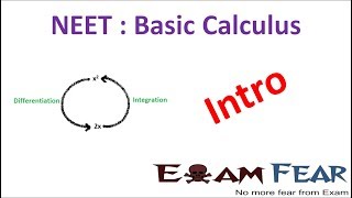 NEET Physics Basic Differentiation Integration  Introduction [upl. by Petie]