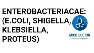 BACTERIOLOGY Enterobacteriacae  Part 1ecoli Shigella Klebsiella Proteus [upl. by Moina396]