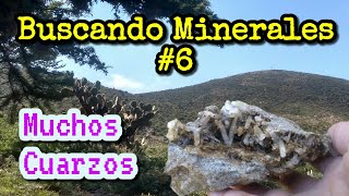 Buscando Minerales 6  Encuentro veta de Cuarzo y hay montones de Cristales ⛏💎 [upl. by Bucher]