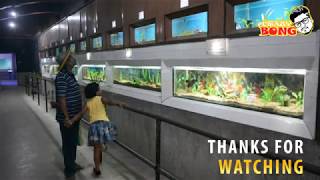 Zoo Aquarium Kolkata  Alipore Zoo Aquarium  Calcutta Zoo Aquarium  Kolkata Tour Guide [upl. by Nylirac]