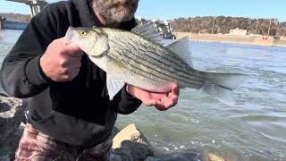 Fishing Racine locks and dam [upl. by Concha]