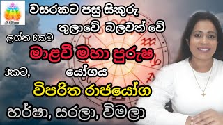 Sridhara Astrology 2024 ට සුබ ආරම්භයක් ලබාදෙමින් සිකුරු බලවත්වීම ලග්න 12 ට බලපාන ආකාරය [upl. by Aytac479]