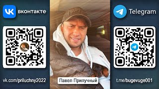 Павел ПРИЛУЧНЫЙ ВКонтакте и Telegram [upl. by Lion]