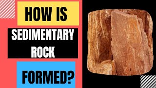 How Are Sedimentary Rocks Formed Weathering Erosion Deposition Compaction Cementation [upl. by Innig]