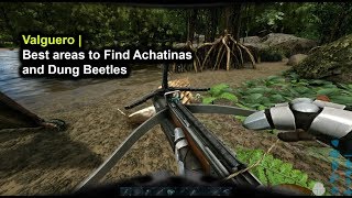 ARK  Valguero  Best areas to find achatinas and dung beetles [upl. by Iamhaj]