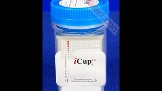 iCup Drug Screen Video Instructions Procedure [upl. by Anana304]