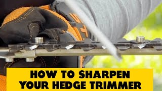 How to Sharpen Your Hedge Trimmer [upl. by Alsi]