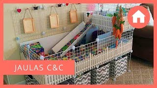 🏠 JAULAS  RECINTOS CampC  CYC PARA COBAYAS 🐹 Ventajas materiales tutorial diseños [upl. by Onairelav]