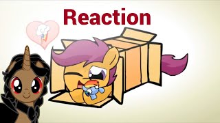 My Little Pony Reaction Ponies sliding into a box v20 [upl. by Ylluz]