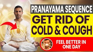 Top 4 Breathing Exercises to Reduce Cough and Cold in One Day  Pranayama Sequence [upl. by Turner]