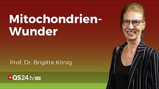 Die Geheimnisse der Mitochondrien Die wegweisende Forschung von Professor Dr Brigitte König  QS24 [upl. by Friedly]