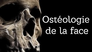 Anatomie  Osteologie de la face [upl. by Gintz]