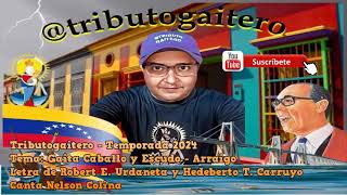 Tributogaitero  Gaita Caballo y Escudo  Arraigo [upl. by Kenaz494]