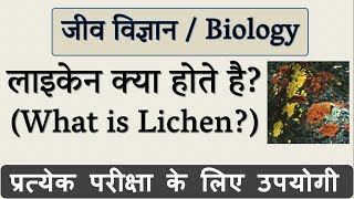 लाइकेन क्या है  What is Lichen in Hindi  जीव विज्ञान Biology  Science Gk in Hindi [upl. by Agee]