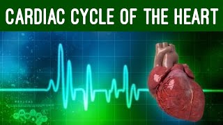 Cardiac Cycle and Conduction System of Heart Physiology Animation [upl. by Jemy389]