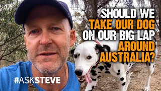 Should we take our dog on our Big Lap around Australia  Ask Steve 007 [upl. by Ofloda]