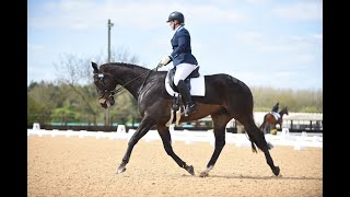 Novice 38 dressage test at ROR winter champs Pickering Grange OTTB [upl. by Oile]