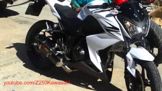 Akrapovic Carbon Exhaust SLIP ON For Kawasaki Z250 HD [upl. by Etteiram]