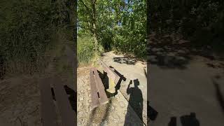 Wivenhoe trails mtb mtblife trials subscribe [upl. by Sharona]