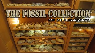 The Fossil Collection of Zé Jurássico [upl. by Ajaj]