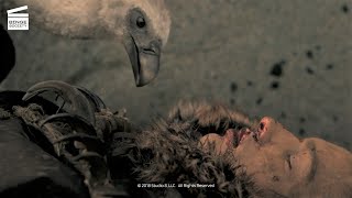 Alpha Feast for the vultures HD CLIP [upl. by Leary]