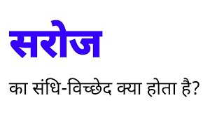 सरोज का संधि विच्छेद क्या होता है  saroj ka sandhi vichchhed kya hota hai [upl. by Melamed]