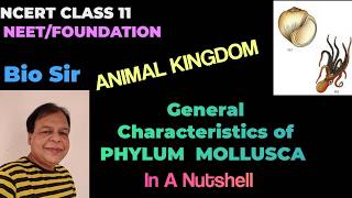 General Characteristics of Mollusca  Basis of Classification of Animal Kingdom [upl. by Dorreg]