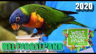 WELTVOGELPARK WALSRODE [upl. by Landes]