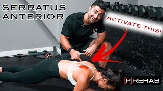 The BEST Serratus Anterior Exercises [upl. by Ishmael]