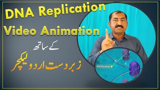 DNA Replication Video Animation in Urdu [upl. by Bobette]