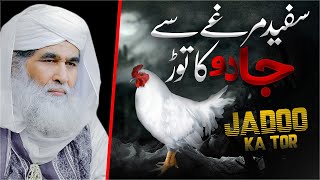 Safed Murga Palne Ke Fayde  White Rooster in Islam  Jadoo Ka Tor  Maulana Ilyas Qadri Bayan [upl. by Einnoj417]