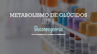 Metabolismo de glúcidos  PARTE IE  Gluconeogénesis  Bioquímica  Lic en Nutrición [upl. by Lasky202]