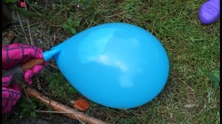 Water Balloon Popping  Learn Colours wet balloons finger family compilation [upl. by Naor]