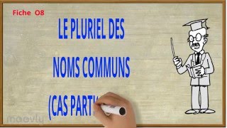 O8  Le pluriel des noms cas particuliers [upl. by Nariko]