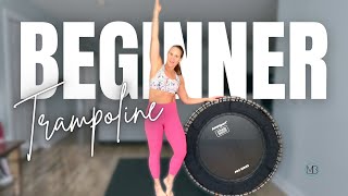 25 MIN Beginner Trampoline Workout  Rebounder Cardio [upl. by Ayarahs629]