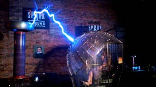 Tesla Coil Faraday Cage [upl. by Seve602]