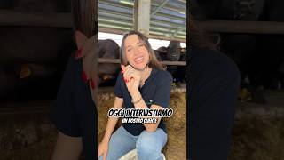 CONOSCIAMO LA REALTÀ DI LAZZARO JEMMA PT 1 🔍 clienti allevatori agricow cowcomfort [upl. by Kamilah]