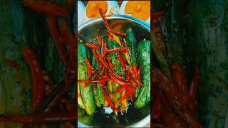 Preserving Cucumber with Spices  Sun Dried Recipe trending shorts cucumber [upl. by Airtemak840]